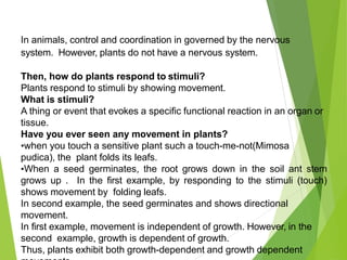 In animals, control and coordination in governed by the nervous
system. However, plants do not have a nervous system.
Then, how do plants respond to stimuli?
Plants respond to stimuli by showing movement.
What is stimuli?
A thing or event that evokes a specific functional reaction in an organ or
tissue.
Have you ever seen any movement in plants?
•when you touch a sensitive plant such a touch-me-not(Mimosa
pudica), the plant folds its leafs.
•When a seed germinates, the root grows down in the soil ant stem
grows up . In the first example, by responding to the stimuli (touch)
shows movement by folding leafs.
In second example, the seed germinates and shows directional
movement.
In first example, movement is independent of growth. However, in the
second example, growth is dependent of growth.
Thus, plants exhibit both growth-dependent and growth dependent
 