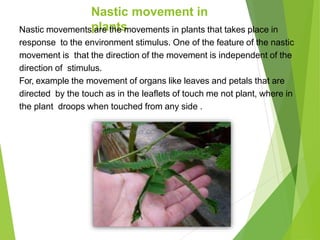 Nastic movement in
plants
Nastic movements are the movements in plants that takes place in
response to the environment stimulus. One of the feature of the nastic
movement is that the direction of the movement is independent of the
direction of stimulus.
For, example the movement of organs like leaves and petals that are
directed by the touch as in the leaflets of touch me not plant, where in
the plant droops when touched from any side .
 