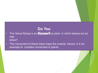Do You
Know?
• The Venus flytrap is an insectivorous plant, in which leaves act as
trap
lobes?
• The movement of these lobes traps the insects. Hence, it is an
example of complex movement in plants.
 