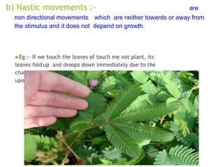 b) Nastic movements :- are
non directional movements which are neither towards or away from
the stimulus and it does not depend on growth.
Eg :- If we touch the leaves of touch me not plant, its
leaves fold up and droops down immediately due to the
change in the amount of water in the leaves. Depending
upon the amount of water in the leaves, it swells or shrinks.
 