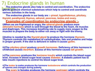 7) Endocrine glands in human
beings :-
The endocrine glands also help in control and coordination. The endocrine
glands produce chemical substances which help to control and coordinate
various activities in the body.
The endocrine glands in our body are :- pineal, hypothalamus, pituitary,
thyroid, parathyroid, thymus, adrenal, pancreas, testes and ovary.
Examples of coordination by endocrine glands :-
i)When we are frightened or angry, the adrenal glands produce more
adrenalin hormone which is sent through the blood to the heart, rib muscles
and diaphragm. This increases breathing rate to supply more oxygen to the
muscles to prepare the body to either run away or fight with the enemy.
ii)Iodine is needed by the thyroid gland to produce the hormone thyroxin.
Thyroxin controls the metabolism of carbohydrates, fats and proteins and helps
in proper growth. If the diet is deficient in iodine it causes goitre.
iii)The pituitary gland produce growth hormones. Deficiency of this hormone in
childhood causes dwarfism. Excess of this hormone causes tall growth.
iv)The pancreas produces the hormone insulin which controls the blood sugar
level. Increase in blood sugar level causes diabetes. A diabetic patient has to
take insulin injections to control his blood sugar level.
v)The testes in males produces the hormone testosterone which controls the production
of sperms and changes during puberty.
The ovary in females produces the hormone oestrogen which controls the
 