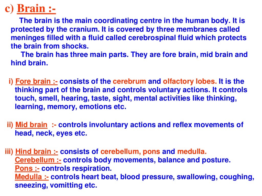 Control and coordination.ppt