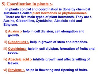 5) Coordination in plants :-
In plants control and coordination is done by chemical
substances called plant hormones or phytohormones.
There are five main types of plant hormones. They are :-
Auxins, Gibberillins, Cytokinins, Abscisic acid and
Ethylene.
i) Auxins :- help in cell division, cell elongation and
growth.
ii) Gibberillins :- help in growth of stem and branches.
iii) Cytokinins:- help in cell division, formation of fruits and
seeds.
iv) Abscisic acid :- inhibits growth and affects wilting of
leaves.
vi) Ethylene :- helps in flowering and ripening of fruits.
 