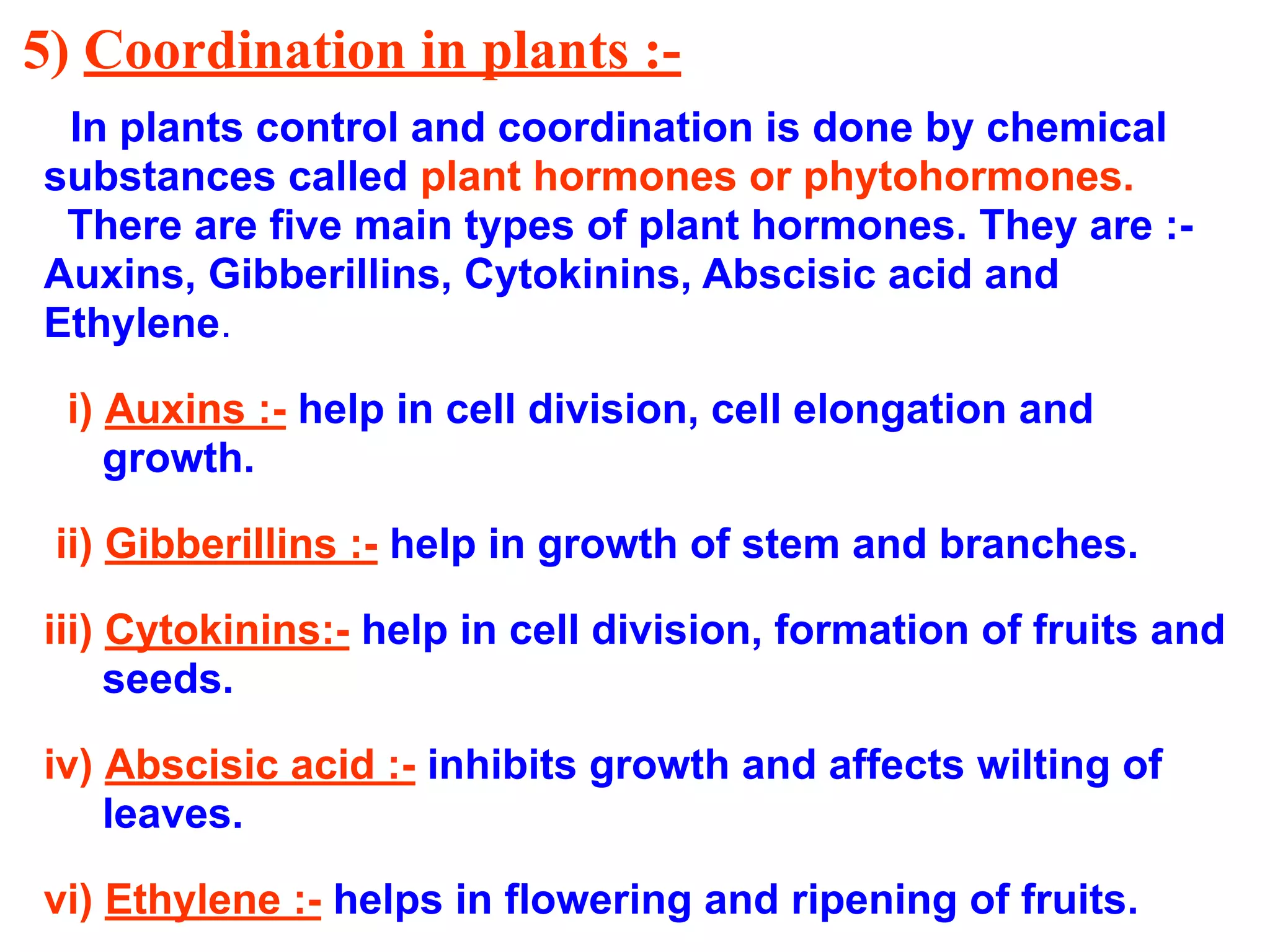 5) Coordination in plants :-
In plants control and coordination is done by chemical
substances called plant hormones or phytohormones.
There are five main types of plant hormones. They are :-
Auxins, Gibberillins, Cytokinins, Abscisic acid and
Ethylene.
i) Auxins :- help in cell division, cell elongation and
growth.
ii) Gibberillins :- help in growth of stem and branches.
iii) Cytokinins:- help in cell division, formation of fruits and
seeds.
iv) Abscisic acid :- inhibits growth and affects wilting of
leaves.
vi) Ethylene :- helps in flowering and ripening of fruits.
 