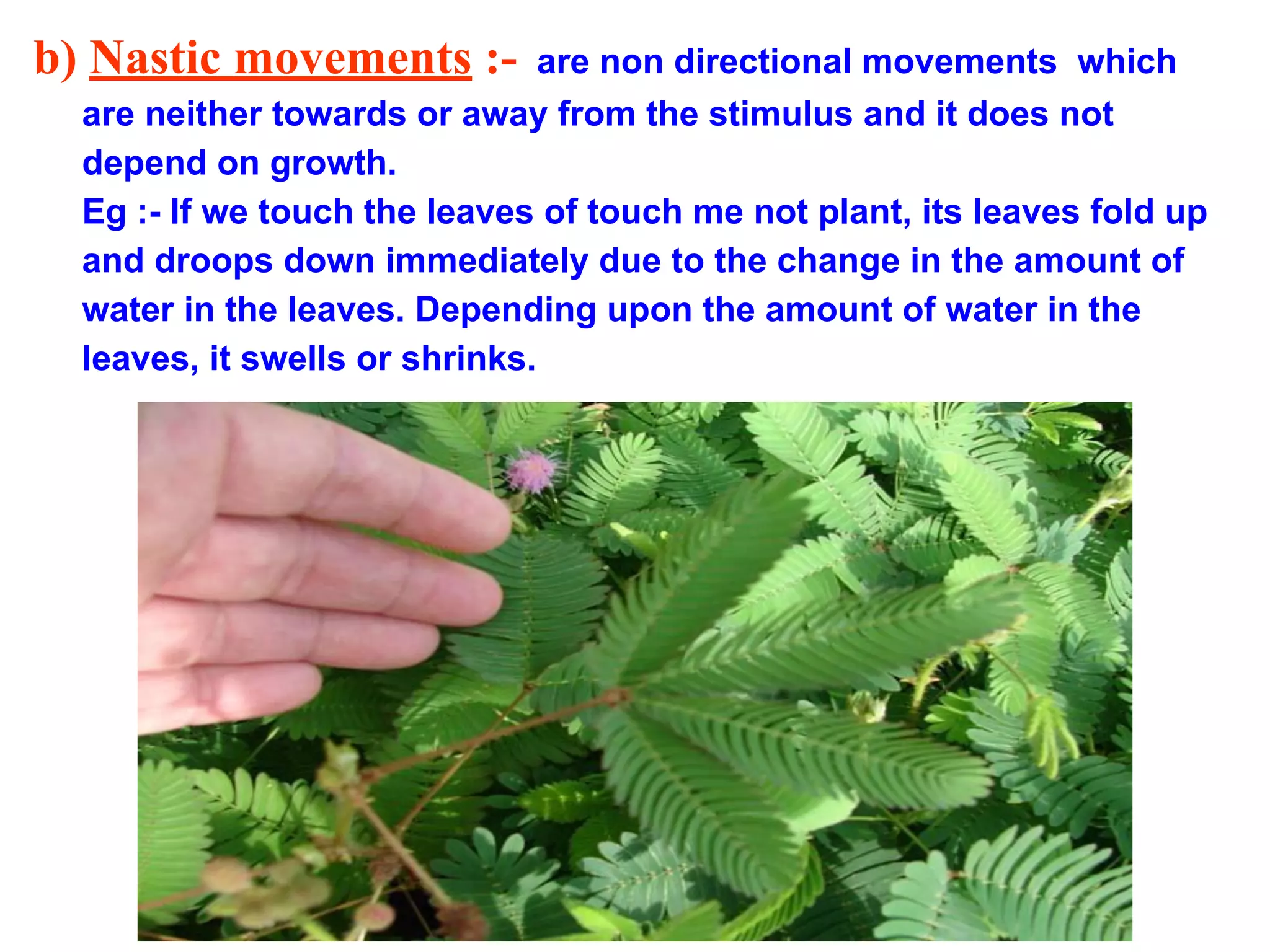 b) Nastic movements :- are non directional movements which
are neither towards or away from the stimulus and it does not
depend on growth.
Eg :- If we touch the leaves of touch me not plant, its leaves fold up
and droops down immediately due to the change in the amount of
water in the leaves. Depending upon the amount of water in the
leaves, it swells or shrinks.
 