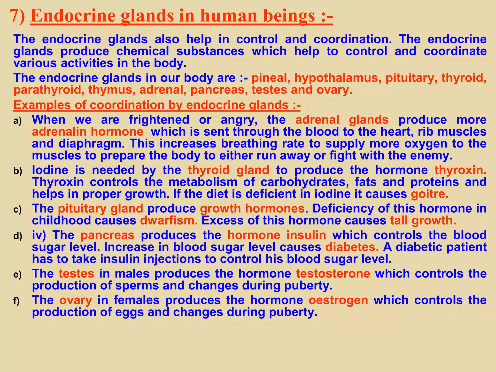 7) Endocrine glands in human beings :-
The endocrine glands also help in control and coordination. The endocrine
glands produce chemical substances which help to control and coordinate
various activities in the body.
The endocrine glands in our body are :- pineal, hypothalamus, pituitary, thyroid,
parathyroid, thymus, adrenal, pancreas, testes and ovary.
Examples of coordination by endocrine glands :-
a) When we are frightened or angry, the adrenal glands produce more
adrenalin hormone which is sent through the blood to the heart, rib muscles
and diaphragm. This increases breathing rate to supply more oxygen to the
muscles to prepare the body to either run away or fight with the enemy.
b) Iodine is needed by the thyroid gland to produce the hormone thyroxin.
Thyroxin controls the metabolism of carbohydrates, fats and proteins and
helps in proper growth. If the diet is deficient in iodine it causes goitre.
c) The pituitary gland produce growth hormones. Deficiency of this hormone in
childhood causes dwarfism. Excess of this hormone causes tall growth.
d) iv) The pancreas produces the hormone insulin which controls the blood
sugar level. Increase in blood sugar level causes diabetes. A diabetic patient
has to take insulin injections to control his blood sugar level.
e) The testes in males produces the hormone testosterone which controls the
production of sperms and changes during puberty.
f) The ovary in females produces the hormone oestrogen which controls the
production of eggs and changes during puberty.
 
