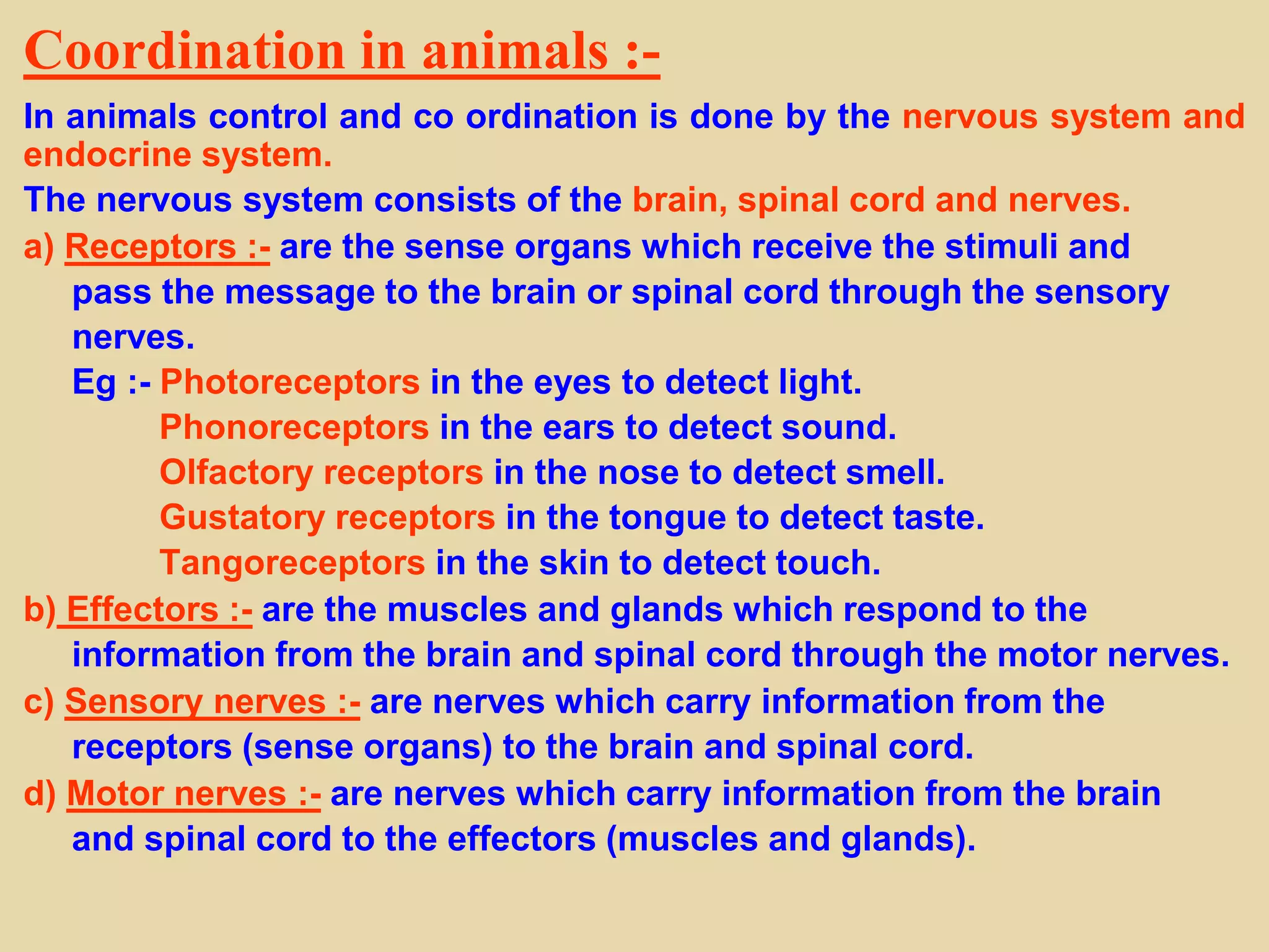Coordination in animals :-
In animals control and co ordination is done by the nervous system and
endocrine system.
The nervous system consists of the brain, spinal cord and nerves.
a) Receptors :- are the sense organs which receive the stimuli and
pass the message to the brain or spinal cord through the sensory
nerves.
Eg :- Photoreceptors in the eyes to detect light.
Phonoreceptors in the ears to detect sound.
Olfactory receptors in the nose to detect smell.
Gustatory receptors in the tongue to detect taste.
Tangoreceptors in the skin to detect touch.
b) Effectors :- are the muscles and glands which respond to the
information from the brain and spinal cord through the motor nerves.
c) Sensory nerves :- are nerves which carry information from the
receptors (sense organs) to the brain and spinal cord.
d) Motor nerves :- are nerves which carry information from the brain
and spinal cord to the effectors (muscles and glands).
 