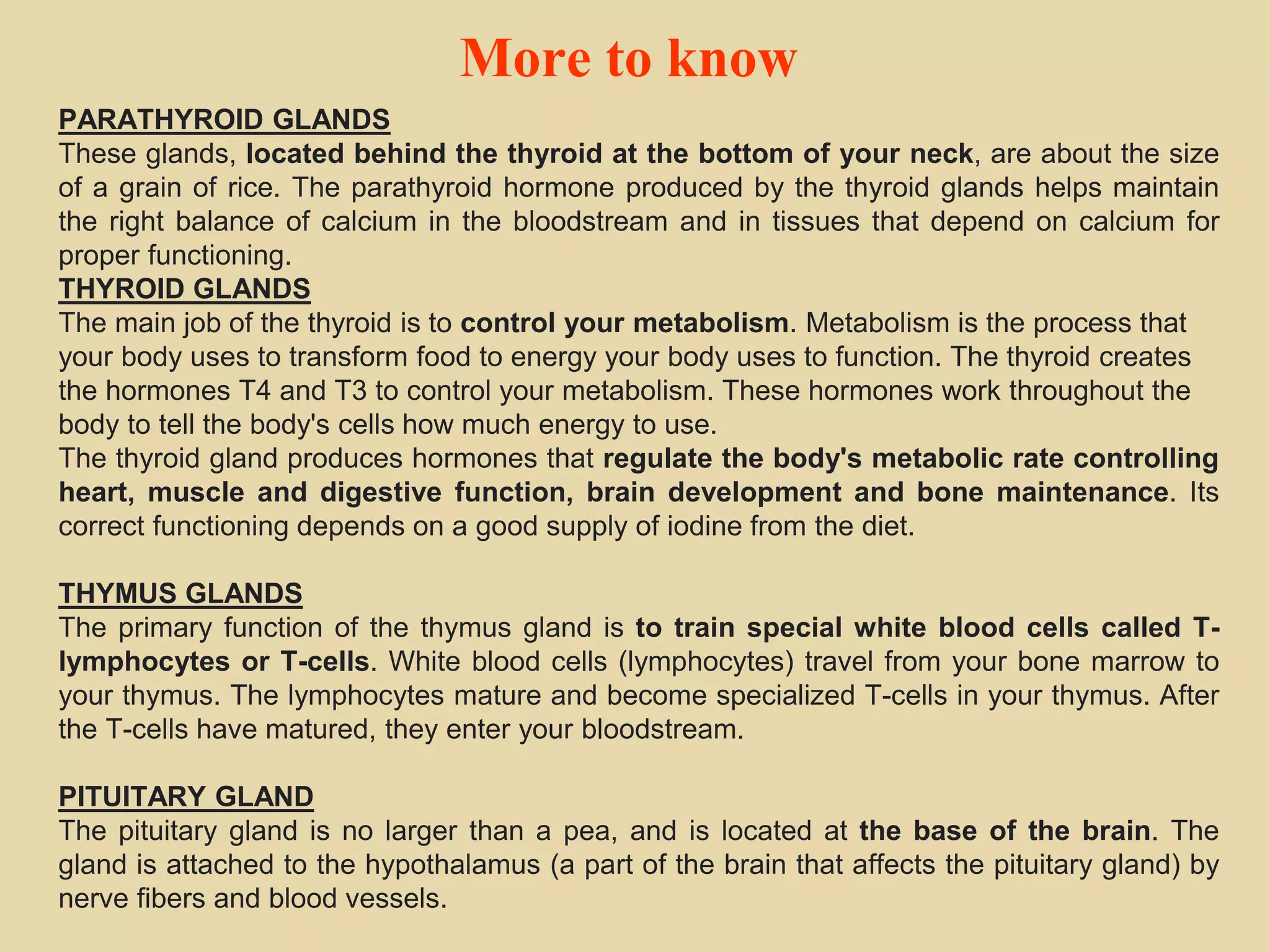 More to know
PARATHYROID GLANDS
These glands, located behind the thyroid at the bottom of your neck, are about the size
of a grain of rice. The parathyroid hormone produced by the thyroid glands helps maintain
the right balance of calcium in the bloodstream and in tissues that depend on calcium for
proper functioning.
THYROID GLANDS
The main job of the thyroid is to control your metabolism. Metabolism is the process that
your body uses to transform food to energy your body uses to function. The thyroid creates
the hormones T4 and T3 to control your metabolism. These hormones work throughout the
body to tell the body's cells how much energy to use.
The thyroid gland produces hormones that regulate the body's metabolic rate controlling
heart, muscle and digestive function, brain development and bone maintenance. Its
correct functioning depends on a good supply of iodine from the diet.
THYMUS GLANDS
The primary function of the thymus gland is to train special white blood cells called T-
lymphocytes or T-cells. White blood cells (lymphocytes) travel from your bone marrow to
your thymus. The lymphocytes mature and become specialized T-cells in your thymus. After
the T-cells have matured, they enter your bloodstream.
PITUITARY GLAND
The pituitary gland is no larger than a pea, and is located at the base of the brain. The
gland is attached to the hypothalamus (a part of the brain that affects the pituitary gland) by
nerve fibers and blood vessels.
 