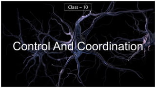 Control And Coordination
Class – 10
 