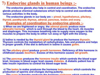 7) Endocrine glands in human beings :-
The endocrine glands also help in control and coordination. The endocrine
glands produce chemical substances which help to control and coordinate
various activities in the body.
The endocrine glands in our body are :- pineal, hypothalamus, pituitary,
thyroid, parathyroid, thymus, adrenal, pancreas, testes and ovary.
Examples of coordination by endocrine glands :-
i) When we are frightened or angry, the adrenal glands produce more
adrenalin hormone which is sent through the blood to the heart, rib muscles
and diaphragm. This increases breathing rate to supply more oxygen to the
muscles to prepare the body to either run away or fight with the enemy.
ii) Iodine is needed by the thyroid gland to produce the hormone thyroxin.
Thyroxin controls the metabolism of carbohydrates, fats and proteins and helps
in proper growth. If the diet is deficient in iodine it causes goitre.
iii) The pituitary gland produce growth hormones. Deficiency of this hormone in
childhood causes dwarfism. Excess of this hormone causes tall growth.
iv) The pancreas produces the hormone insulin which controls the blood sugar
level. Increase in blood sugar level causes diabetes. A diabetic patient has to
take insulin injections to control his blood sugar level.
v) The testes in males produces the hormone testosterone which controls the
production of sperms and changes during puberty.
 