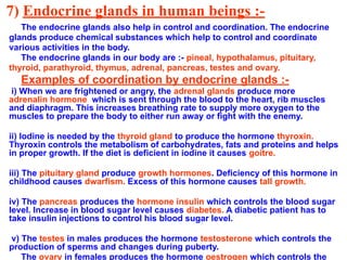 7) Endocrine glands in human beings :-
The endocrine glands also help in control and coordination. The endocrine
glands produce chemical substances which help to control and coordinate
various activities in the body.
The endocrine glands in our body are :- pineal, hypothalamus, pituitary,
thyroid, parathyroid, thymus, adrenal, pancreas, testes and ovary.
Examples of coordination by endocrine glands :-
i) When we are frightened or angry, the adrenal glands produce more
adrenalin hormone which is sent through the blood to the heart, rib muscles
and diaphragm. This increases breathing rate to supply more oxygen to the
muscles to prepare the body to either run away or fight with the enemy.
ii) Iodine is needed by the thyroid gland to produce the hormone thyroxin.
Thyroxin controls the metabolism of carbohydrates, fats and proteins and helps
in proper growth. If the diet is deficient in iodine it causes goitre.
iii) The pituitary gland produce growth hormones. Deficiency of this hormone in
childhood causes dwarfism. Excess of this hormone causes tall growth.
iv) The pancreas produces the hormone insulin which controls the blood sugar
level. Increase in blood sugar level causes diabetes. A diabetic patient has to
take insulin injections to control his blood sugar level.
v) The testes in males produces the hormone testosterone which controls the
production of sperms and changes during puberty.
The ovary in females produces the hormone oestrogen which controls the
 