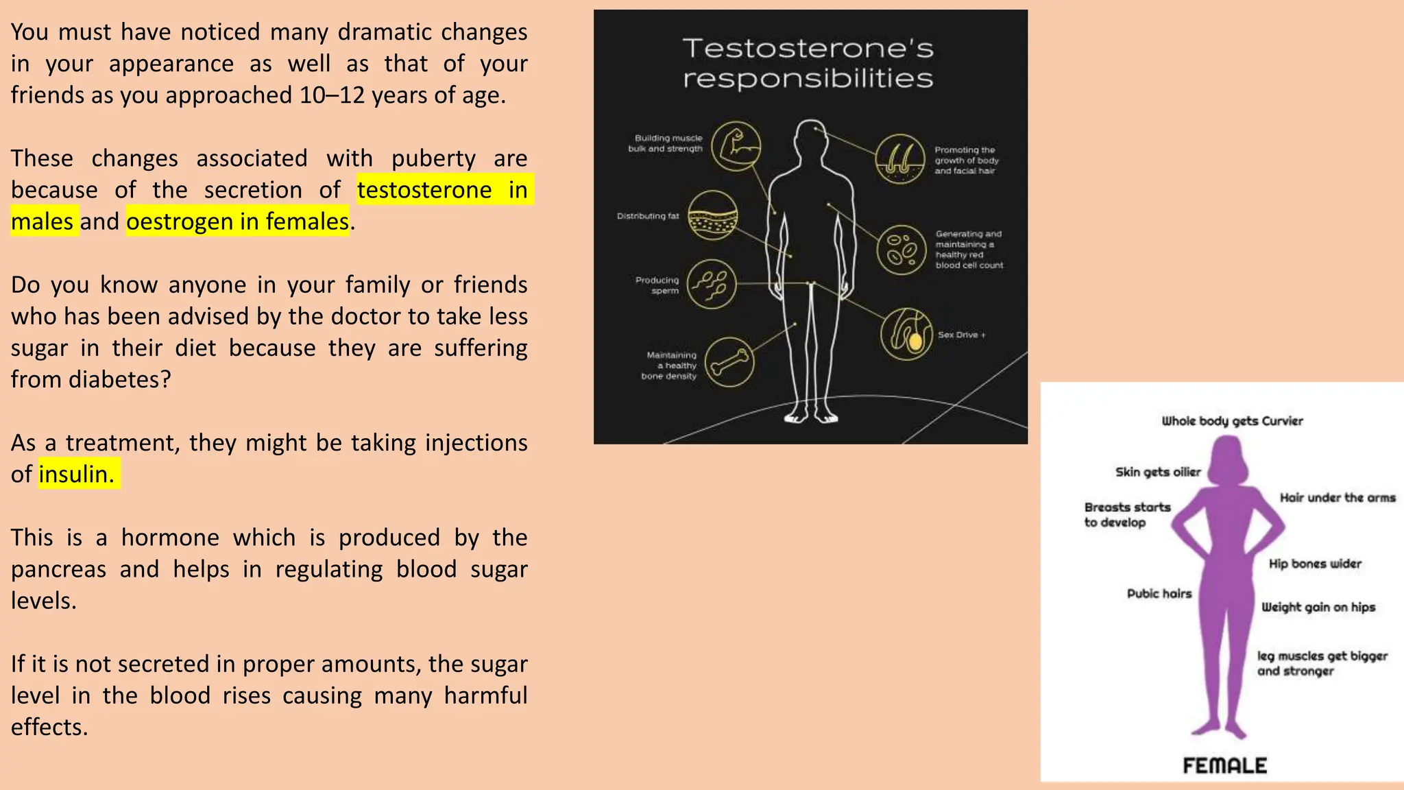 You must have noticed many dramatic changes
in your appearance as well as that of your
friends as you approached 10–12 years of age.
These changes associated with puberty are
because of the secretion of testosterone in
males and oestrogen in females.
Do you know anyone in your family or friends
who has been advised by the doctor to take less
sugar in their diet because they are suffering
from diabetes?
As a treatment, they might be taking injections
of insulin.
This is a hormone which is produced by the
pancreas and helps in regulating blood sugar
levels.
If it is not secreted in proper amounts, the sugar
level in the blood rises causing many harmful
effects.
 