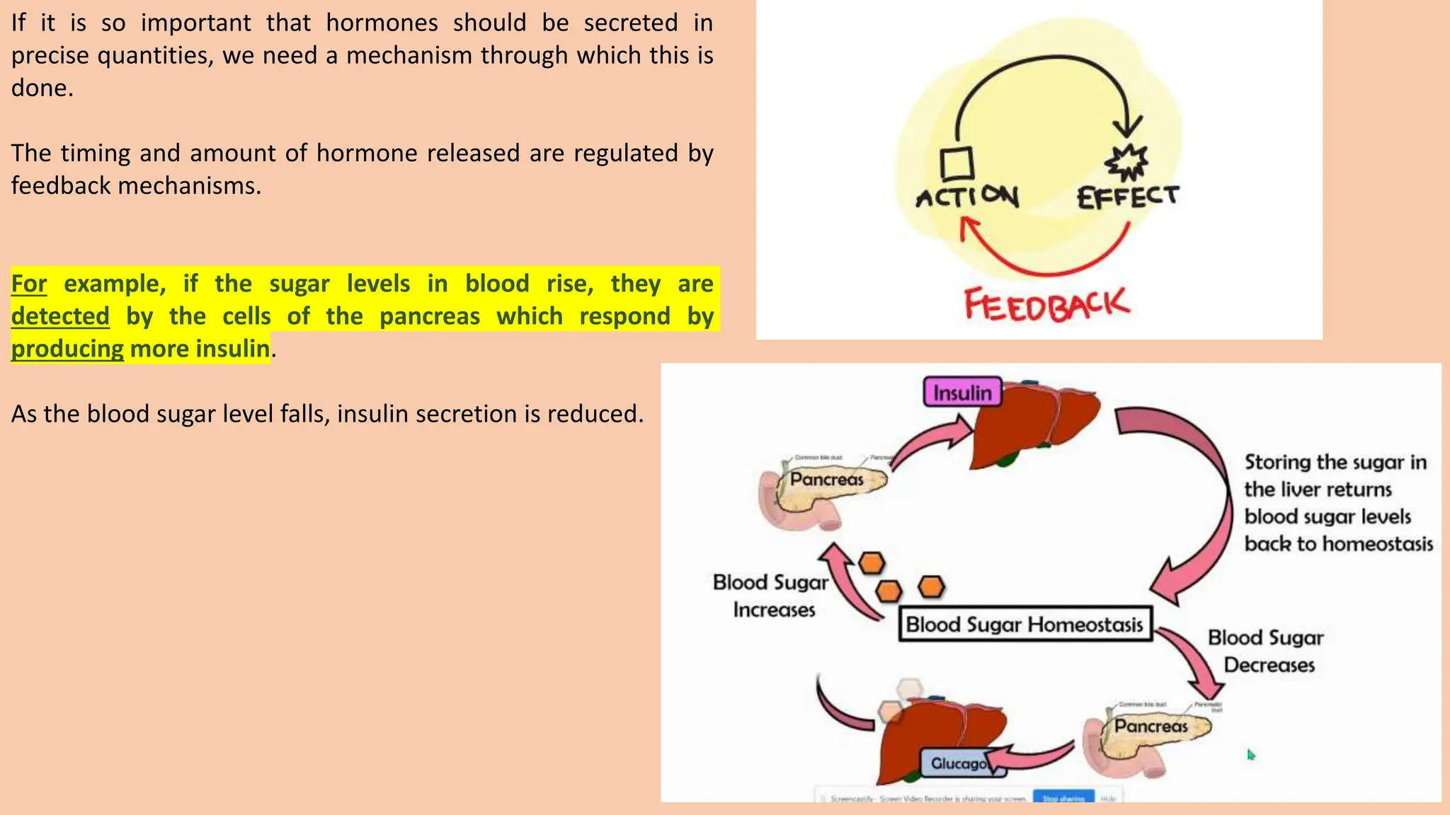 If it is so important that hormones should be secreted in
precise quantities, we need a mechanism through which this is
done.
The timing and amount of hormone released are regulated by
feedback mechanisms.
For example, if the sugar levels in blood rise, they are
detected by the cells of the pancreas which respond by
producing more insulin.
As the blood sugar level falls, insulin secretion is reduced.
 