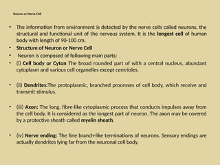 10th CLASS CONTROL AND COORDINATION NERVOUS SYSTEM AND HORMONES | PPTX ...