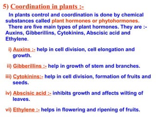 5) Coordination in plants :-
In plants control and coordination is done by chemical
substances called plant hormones or phytohormones.
There are five main types of plant hormones. They are :-
Auxins, Gibberillins, Cytokinins, Abscisic acid and
Ethylene.
i) Auxins :- help in cell division, cell elongation and
growth.
ii) Gibberillins :- help in growth of stem and branches.
iii) Cytokinins:- help in cell division, formation of fruits and
seeds.
iv) Abscisic acid :- inhibits growth and affects wilting of
leaves.
vi) Ethylene :- helps in flowering and ripening of fruits.
 