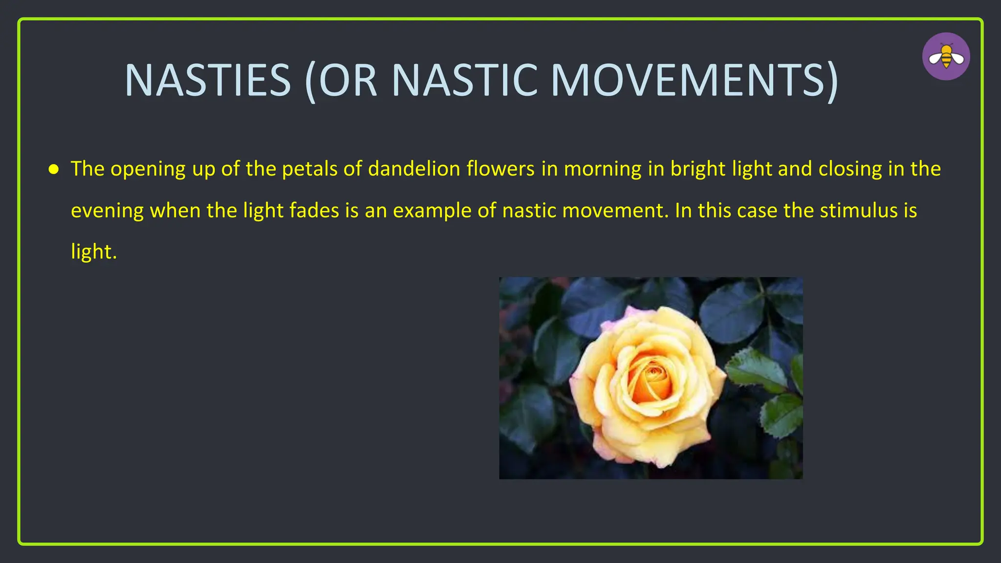NASTIES (OR NASTIC MOVEMENTS)
● The opening up of the petals of dandelion flowers in morning in bright light and closing in the
evening when the light fades is an example of nastic movement. In this case the stimulus is
light.
 