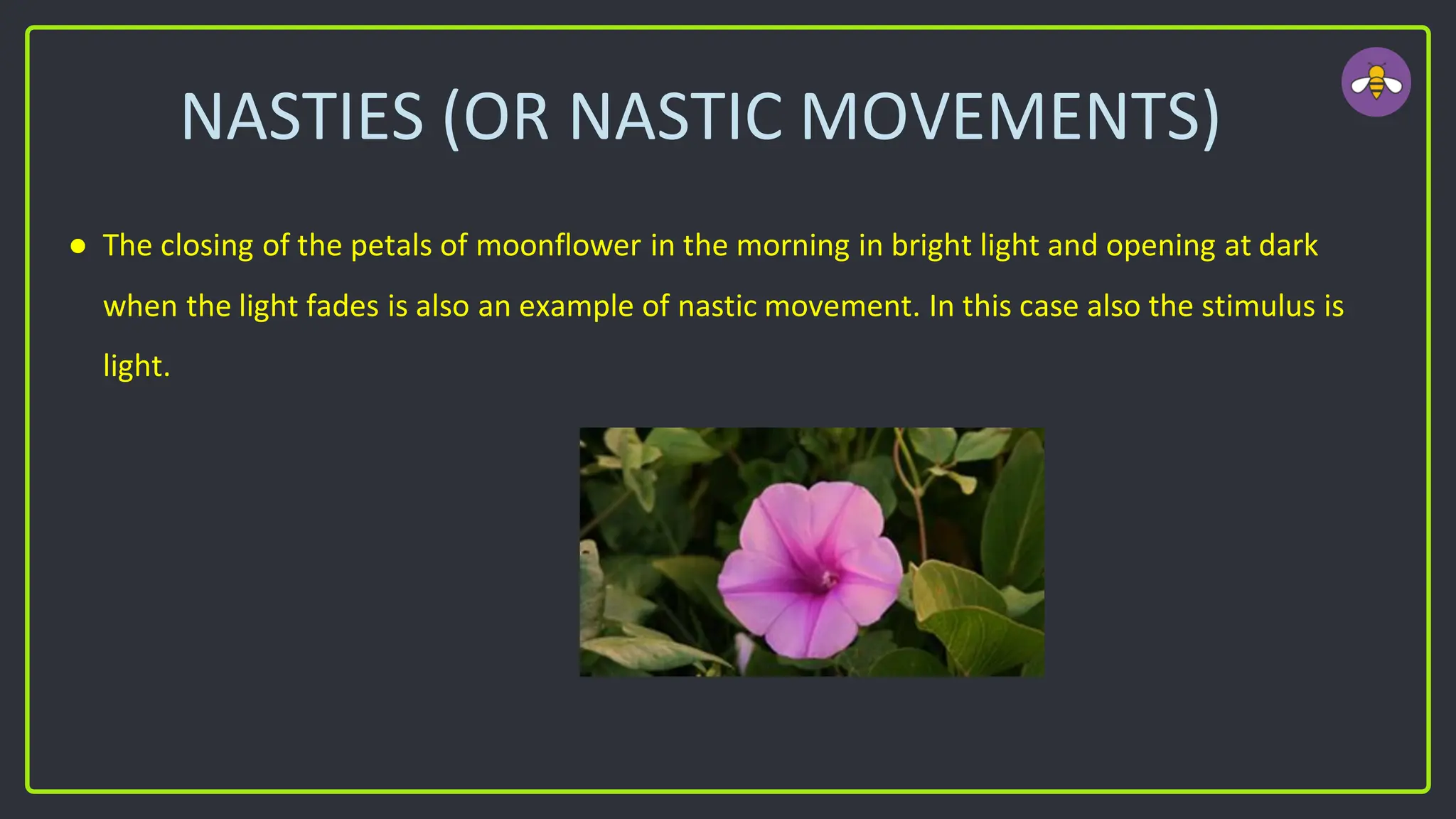 NASTIES (OR NASTIC MOVEMENTS)
● The closing of the petals of moonflower in the morning in bright light and opening at dark
when the light fades is also an example of nastic movement. In this case also the stimulus is
light.
 