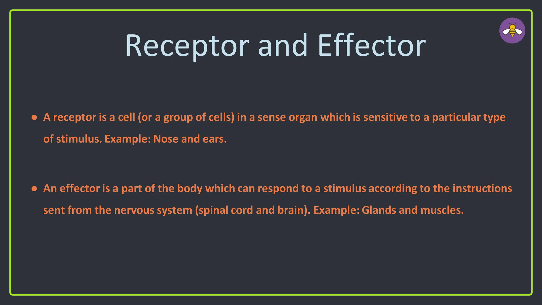 Receptor and Effector
● A receptor is a cell (or a group of cells) in a sense organ which is sensitive to a particular type
of stimulus. Example: Nose and ears.
● An effector is a part of the body which can respond to a stimulus according to the instructions
sent from the nervous system (spinal cord and brain). Example: Glands and muscles.
 