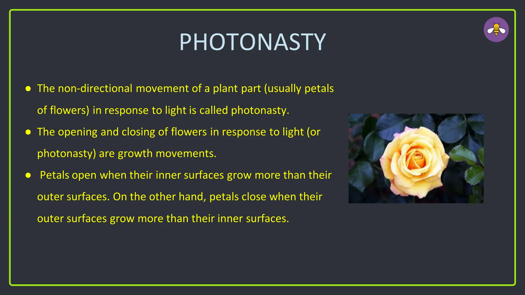 PHOTONASTY
● The non-directional movement of a plant part (usually petals
of flowers) in response to light is called photonasty.
● The opening and closing of flowers in response to light (or
photonasty) are growth movements.
● Petals open when their inner surfaces grow more than their
outer surfaces. On the other hand, petals close when their
outer surfaces grow more than their inner surfaces.
 