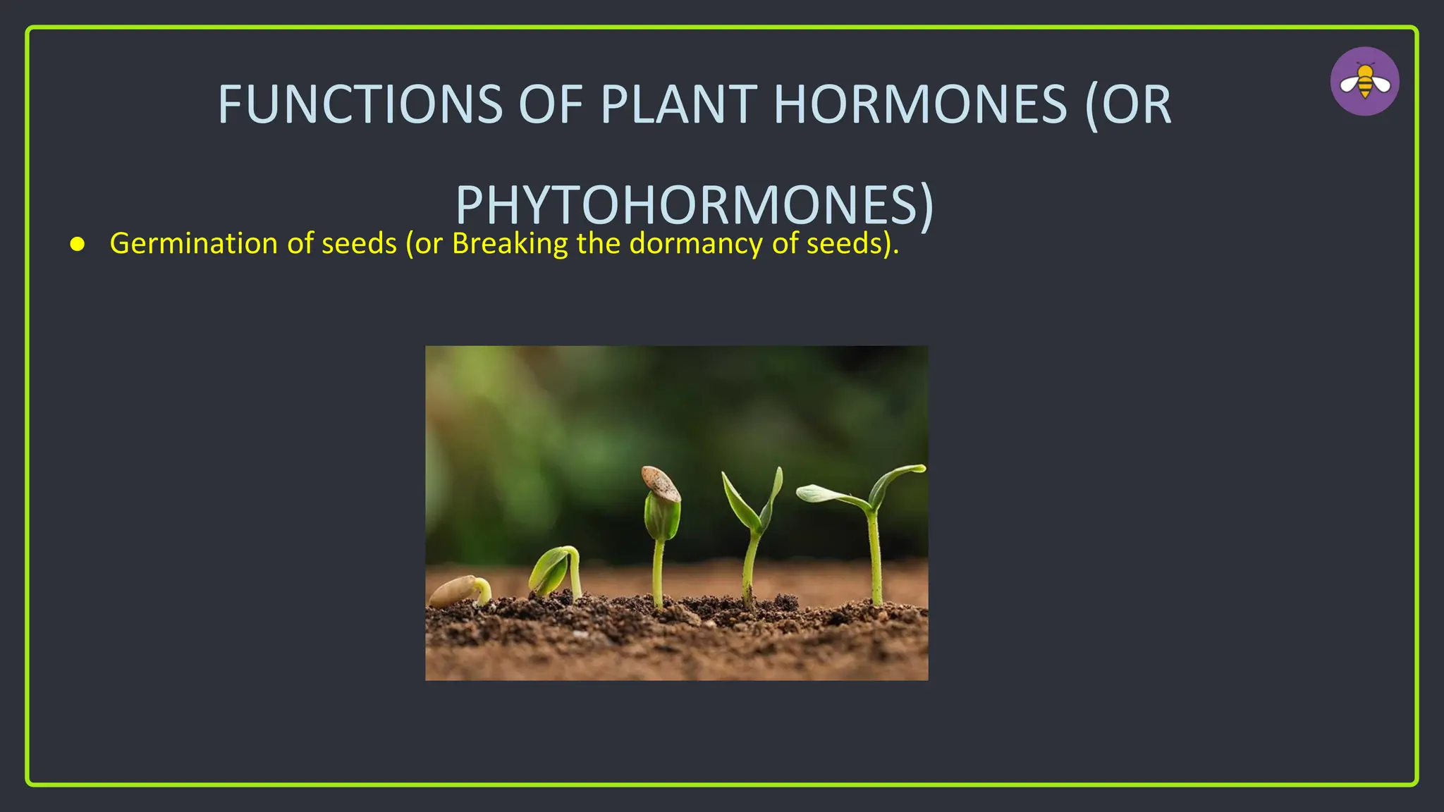 FUNCTIONS OF PLANT HORMONES (OR
PHYTOHORMONES)
● Germination of seeds (or Breaking the dormancy of seeds).
 