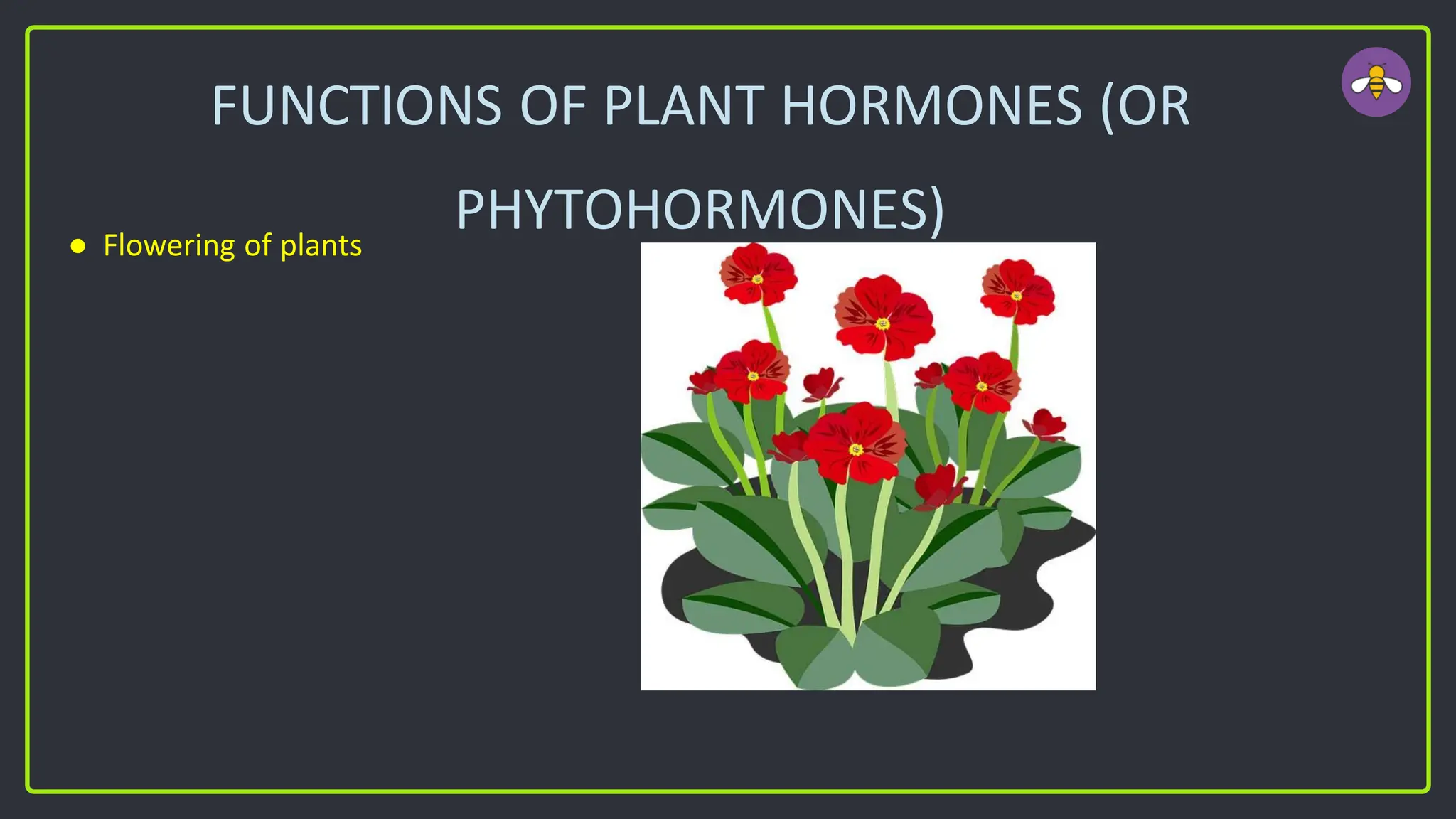 FUNCTIONS OF PLANT HORMONES (OR
PHYTOHORMONES)
● Flowering of plants
 