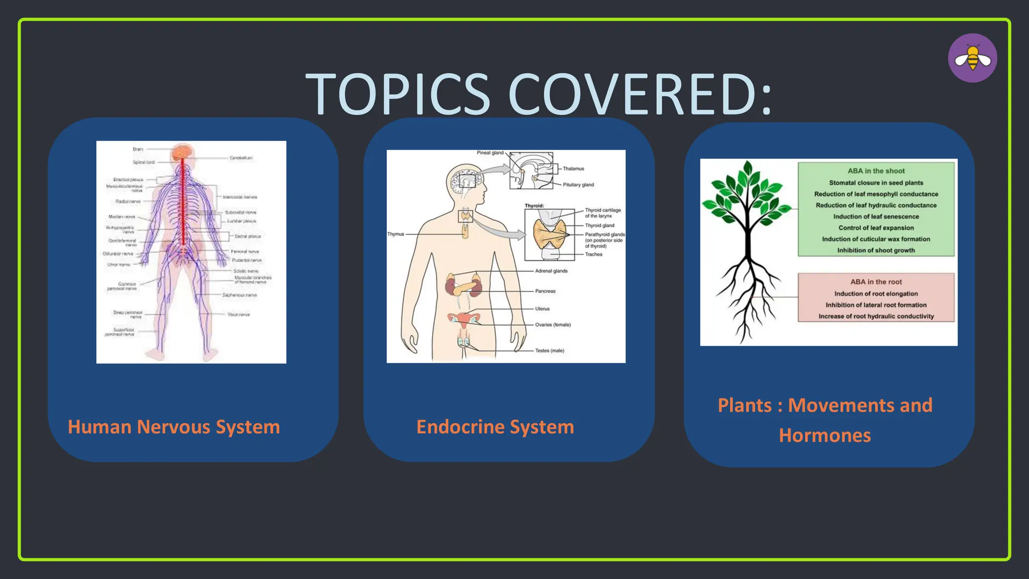 TOPICS COVERED:
Human Nervous System Endocrine System
Plants : Movements and
Hormones
 