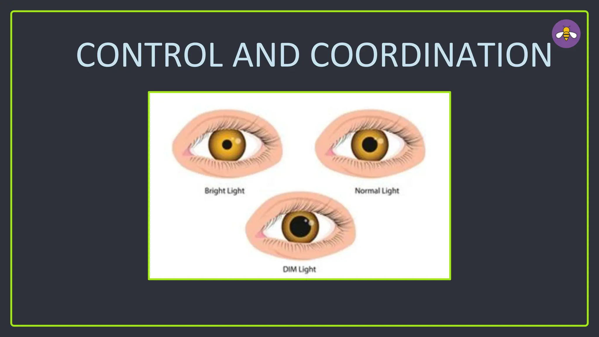 CONTROL AND COORDINATION
 