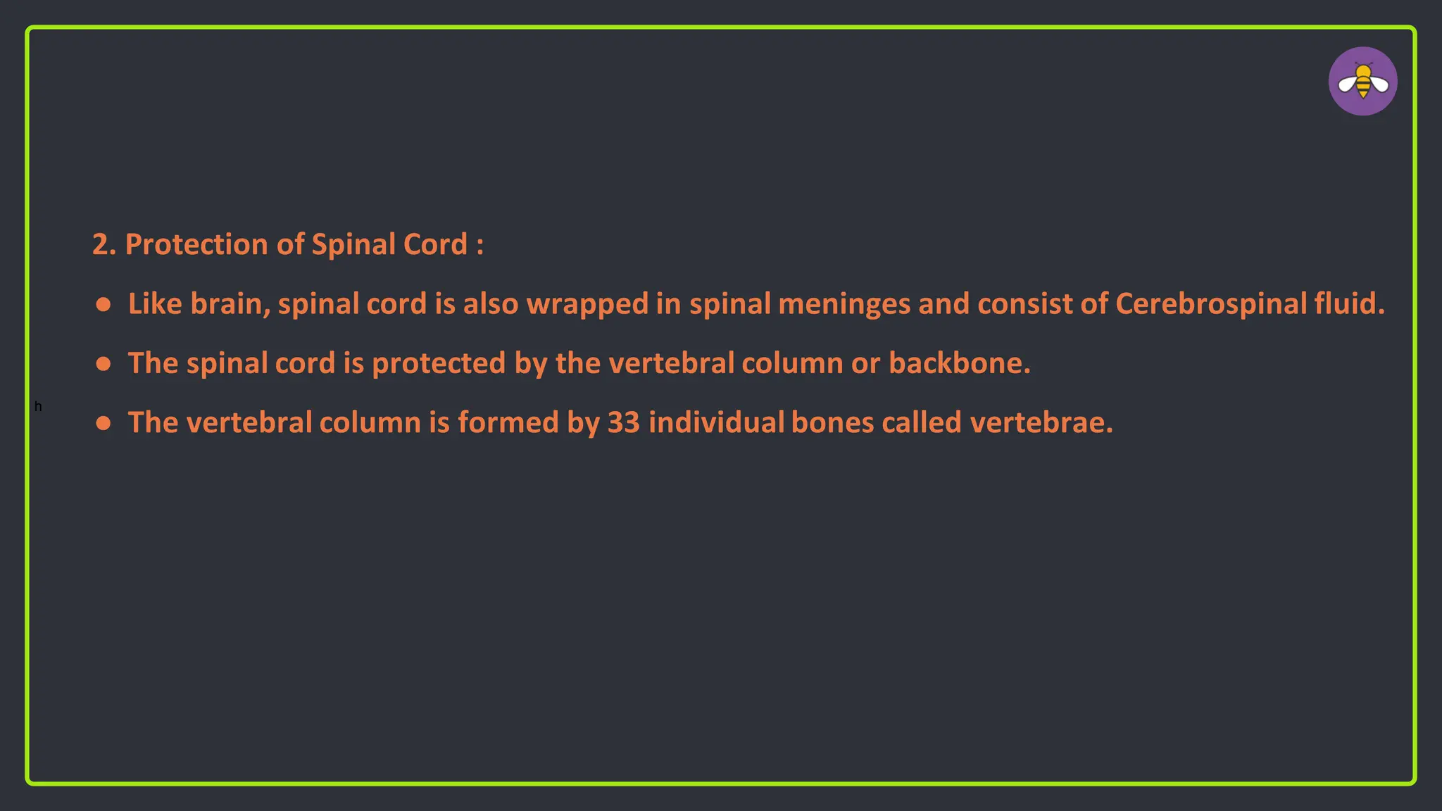 2. Protection of Spinal Cord :
● Like brain, spinal cord is also wrapped in spinal meninges and consist of Cerebrospinal fluid.
● The spinal cord is protected by the vertebral column or backbone.
● The vertebral column is formed by 33 individual bones called vertebrae.
h
 
