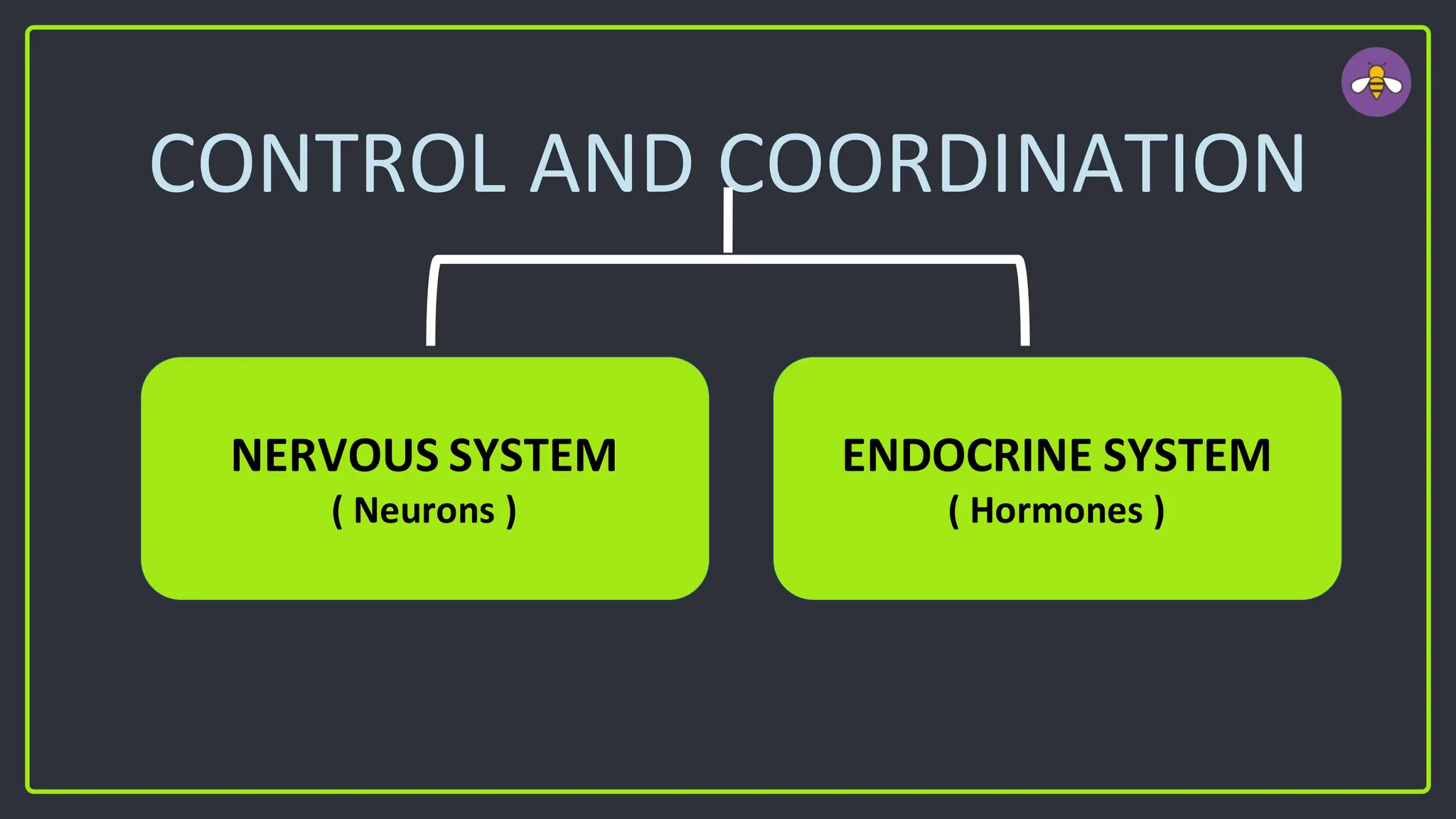CONTROL AND COORDINATION
NERVOUS SYSTEM
( Neurons )
ENDOCRINE SYSTEM
( Hormones )
 