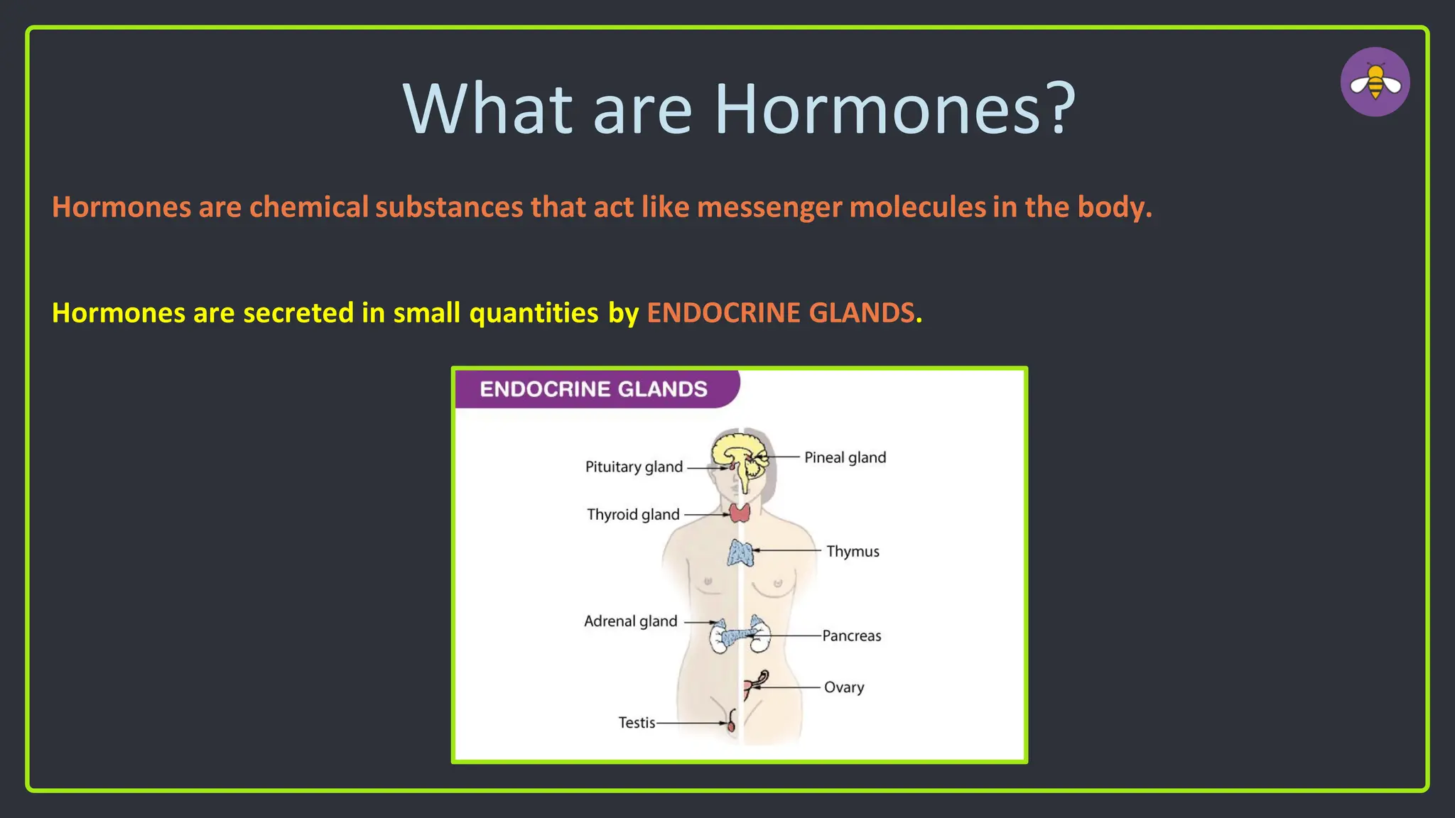 What are Hormones?
Hormones are chemical substances that act like messenger molecules in the body.
Hormones are secreted in small quantities by ENDOCRINE GLANDS.
 
