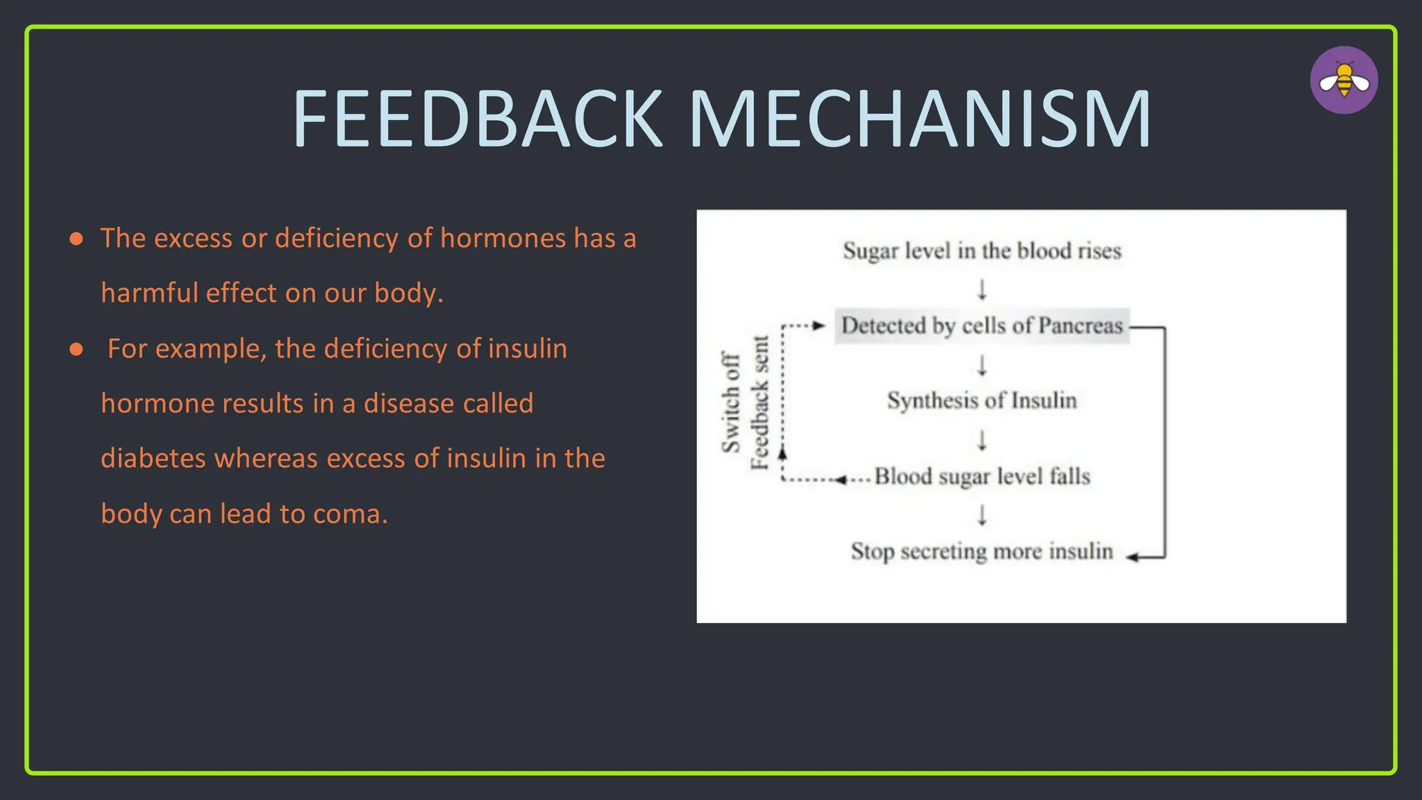 FEEDBACK MECHANISM
● The excess or deficiency of hormones has a
harmful effect on our body.
● For example, the deficiency of insulin
hormone results in a disease called
diabetes whereas excess of insulin in the
body can lead to coma.
 