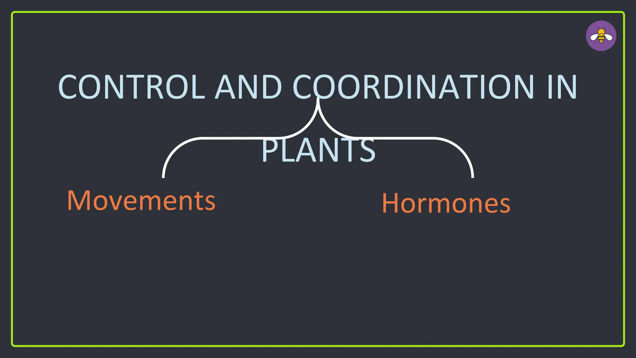 CONTROL AND COORDINATION IN
PLANTS
Movements Hormones
 