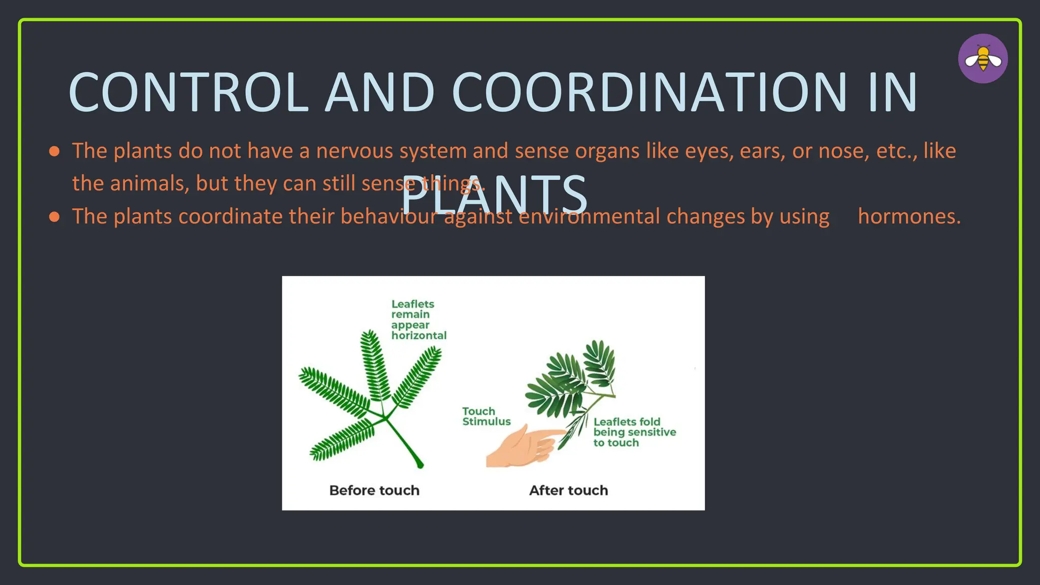 CONTROL AND COORDINATION IN
PLANTS
● The plants do not have a nervous system and sense organs like eyes, ears, or nose, etc., like
the animals, but they can still sense things.
● The plants coordinate their behaviour against environmental changes by using hormones.
 