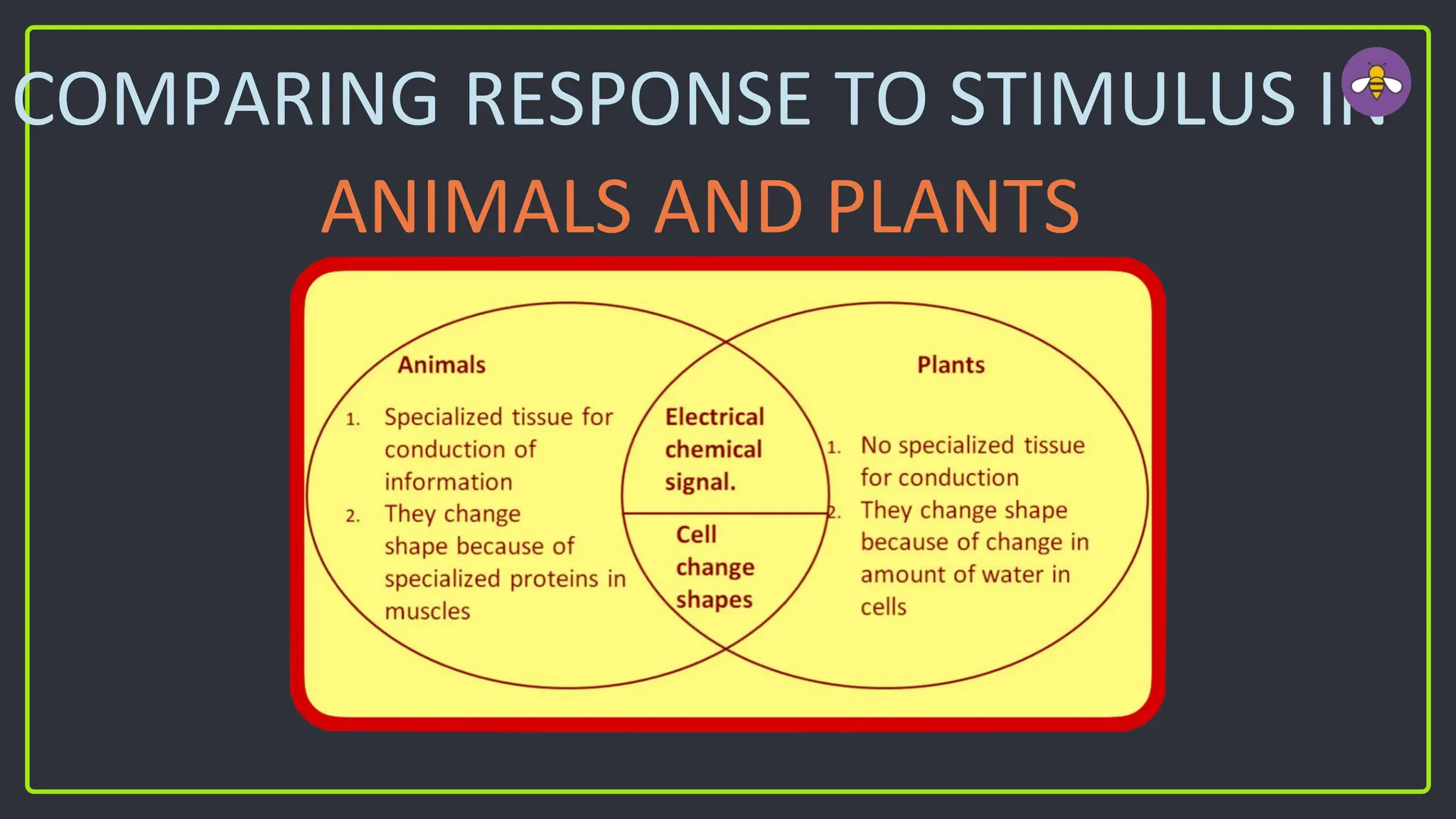 COMPARING RESPONSE TO STIMULUS IN
ANIMALS AND PLANTS
 