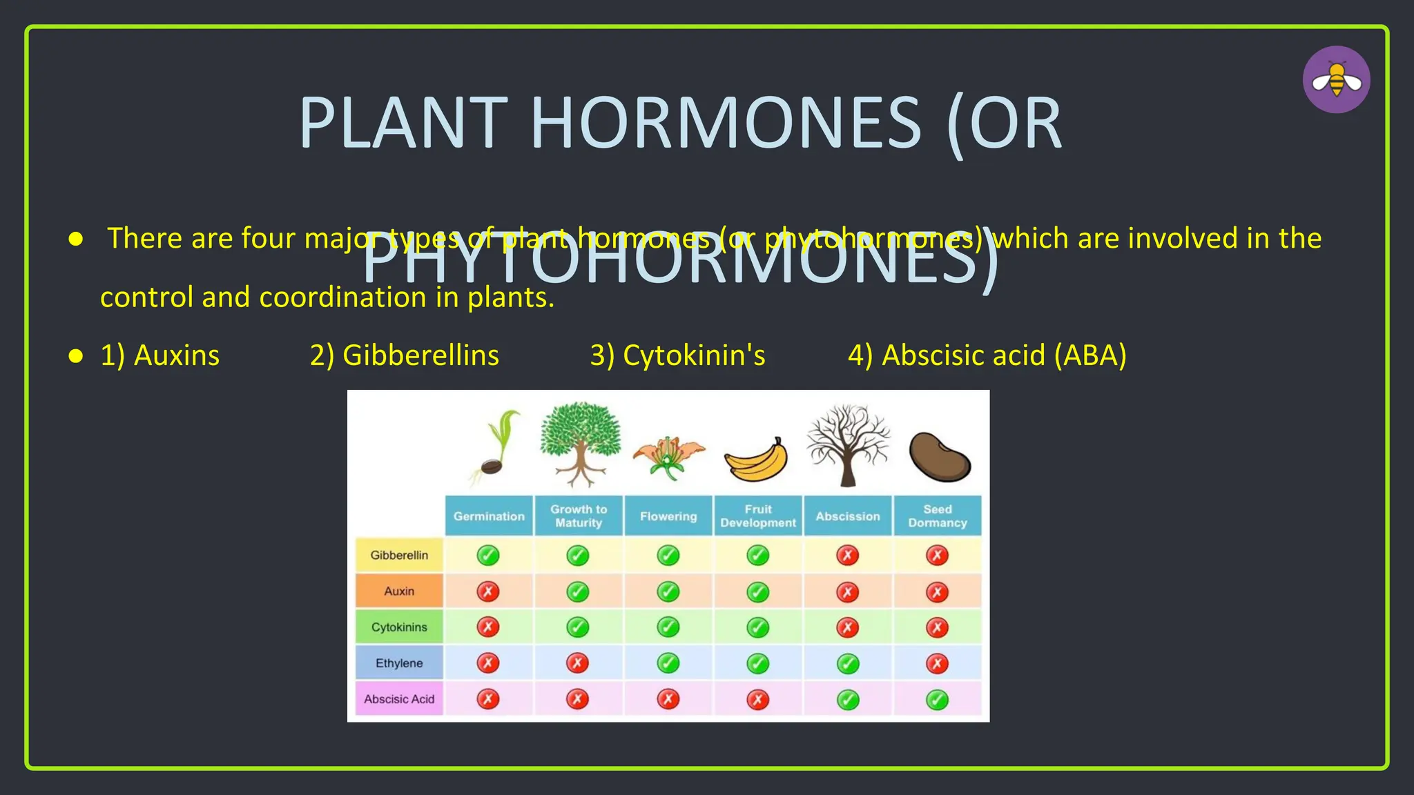 PLANT HORMONES (OR
PHYTOHORMONES)
● There are four major types of plant hormones (or phytohormones) which are involved in the
control and coordination in plants.
● 1) Auxins 2) Gibberellins 3) Cytokinin's 4) Abscisic acid (ABA)
 