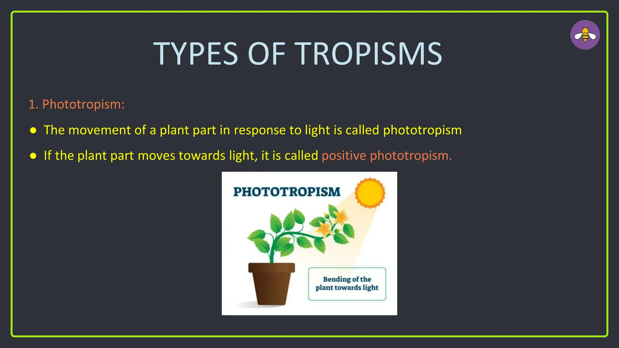 TYPES OF TROPISMS
1. Phototropism:
● The movement of a plant part in response to light is called phototropism
● If the plant part moves towards light, it is called positive phototropism.
 