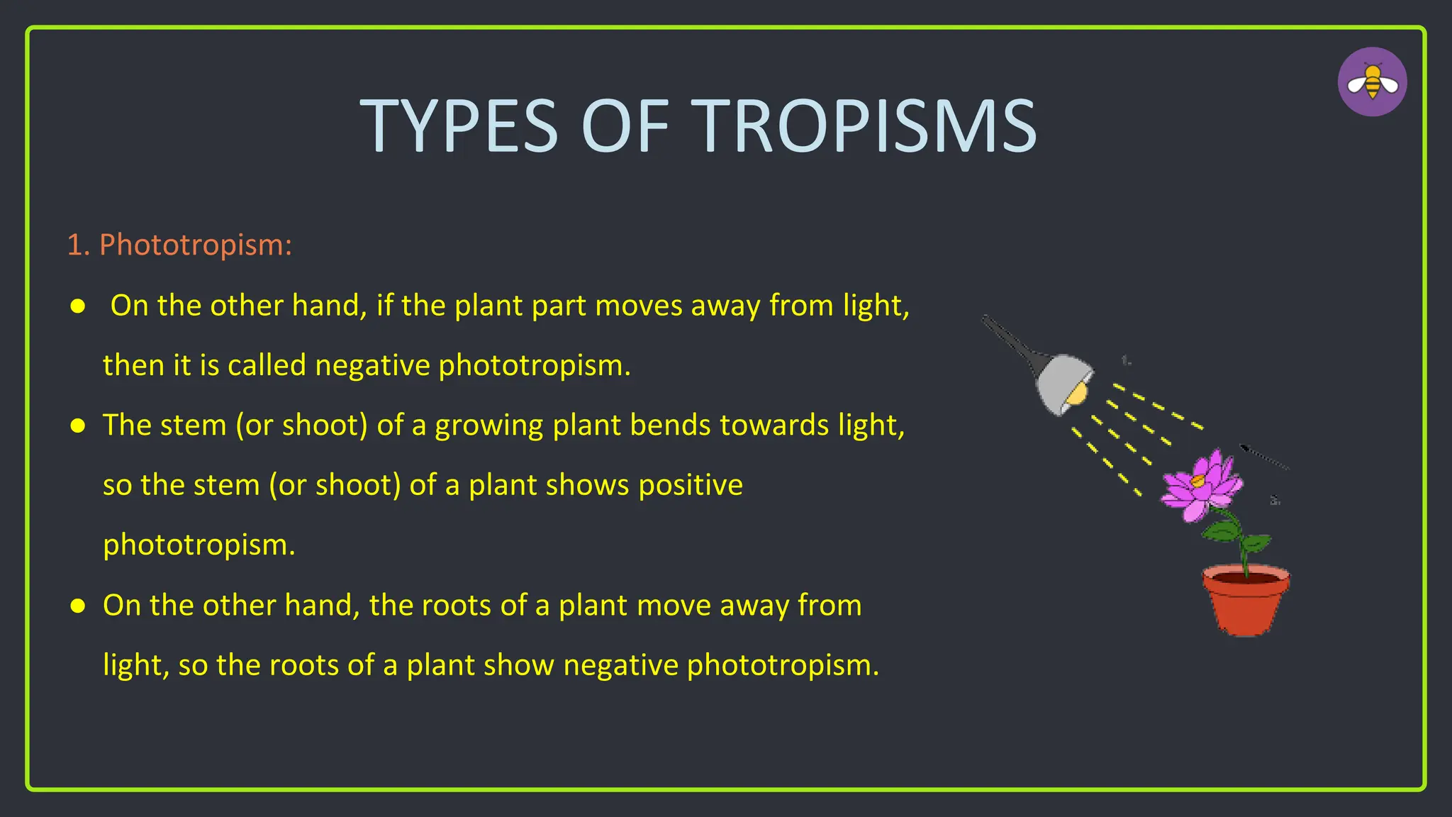 TYPES OF TROPISMS
1. Phototropism:
● On the other hand, if the plant part moves away from light,
then it is called negative phototropism.
● The stem (or shoot) of a growing plant bends towards light,
so the stem (or shoot) of a plant shows positive
phototropism.
● On the other hand, the roots of a plant move away from
light, so the roots of a plant show negative phototropism.
 