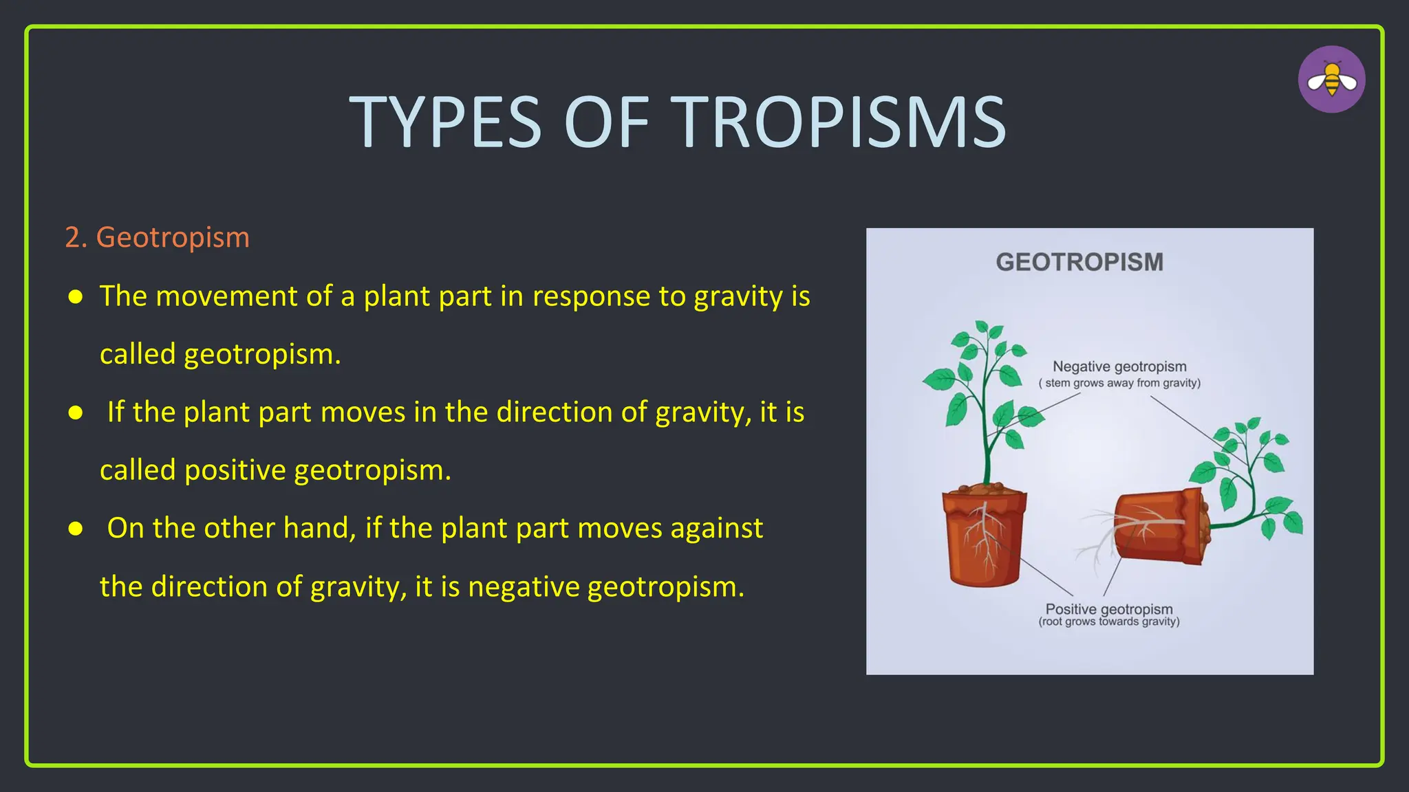 TYPES OF TROPISMS
2. Geotropism
● The movement of a plant part in response to gravity is
called geotropism.
● If the plant part moves in the direction of gravity, it is
called positive geotropism.
● On the other hand, if the plant part moves against
the direction of gravity, it is negative geotropism.
 