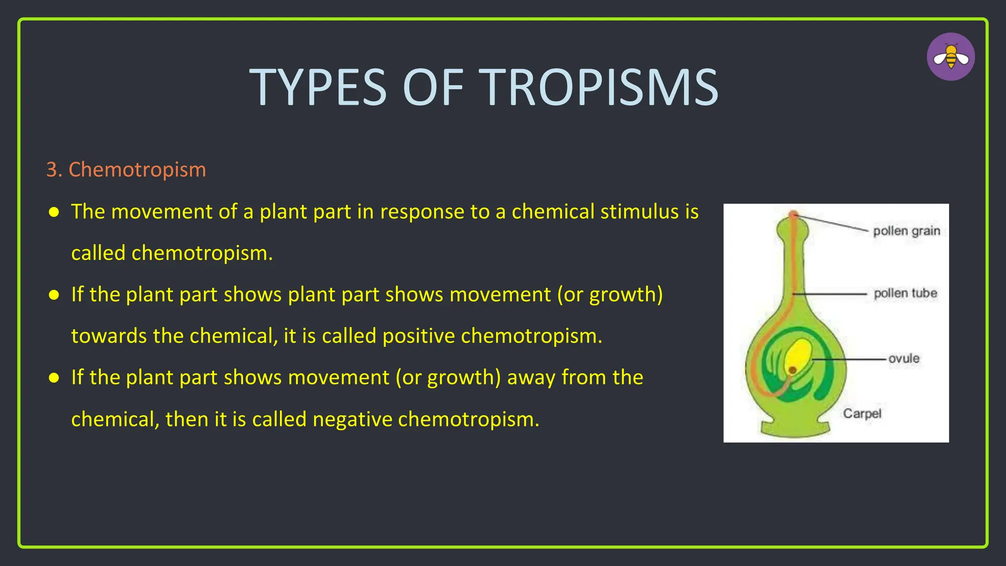 TYPES OF TROPISMS
3. Chemotropism
● The movement of a plant part in response to a chemical stimulus is
called chemotropism.
● If the plant part shows plant part shows movement (or growth)
towards the chemical, it is called positive chemotropism.
● If the plant part shows movement (or growth) away from the
chemical, then it is called negative chemotropism.
 