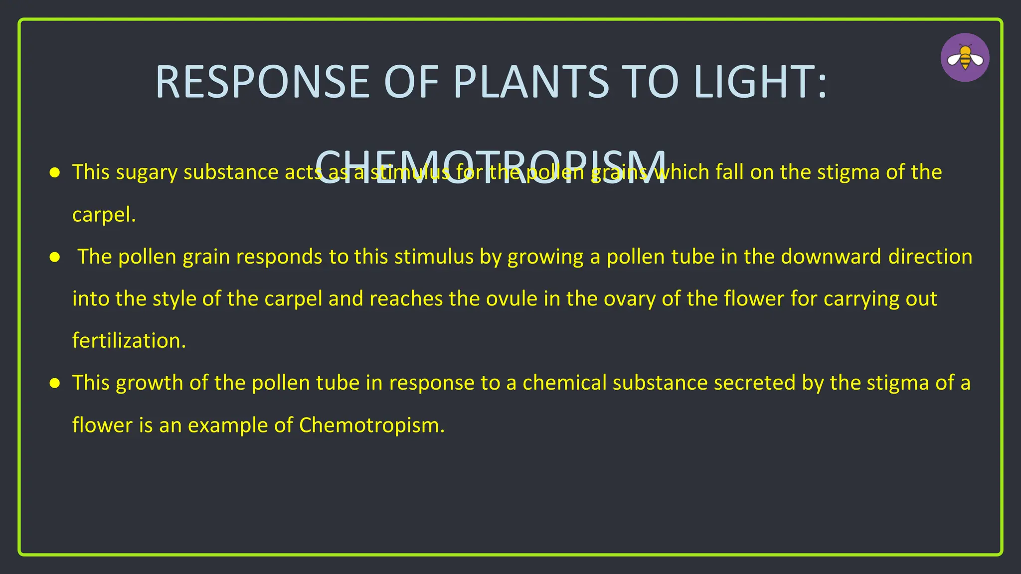 RESPONSE OF PLANTS TO LIGHT:
CHEMOTROPISM
● This sugary substance acts as a stimulus for the pollen grains which fall on the stigma of the
carpel.
● The pollen grain responds to this stimulus by growing a pollen tube in the downward direction
into the style of the carpel and reaches the ovule in the ovary of the flower for carrying out
fertilization.
● This growth of the pollen tube in response to a chemical substance secreted by the stigma of a
flower is an example of Chemotropism.
 