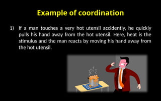Control and coordination by tripurari prajapati.pptx