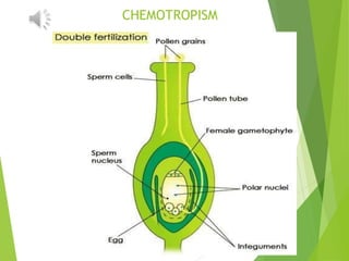 CONTROL AND COORDINATION class-10 chapter-7(bio).pptx