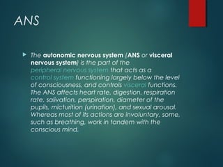 Control and coordination | PPT