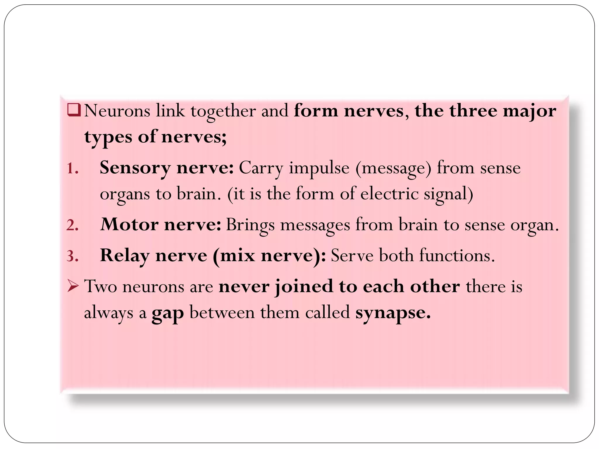Neurons link together and form nerves, the three major
types of nerves;
1. Sensory nerve: Carry impulse (message) from sense
organs to brain. (it is the form of electric signal)
2. Motor nerve: Brings messages from brain to sense organ.
3. Relay nerve (mix nerve): Serve both functions.
 Two neurons are never joined to each other there is
always a gap between them called synapse.
 
