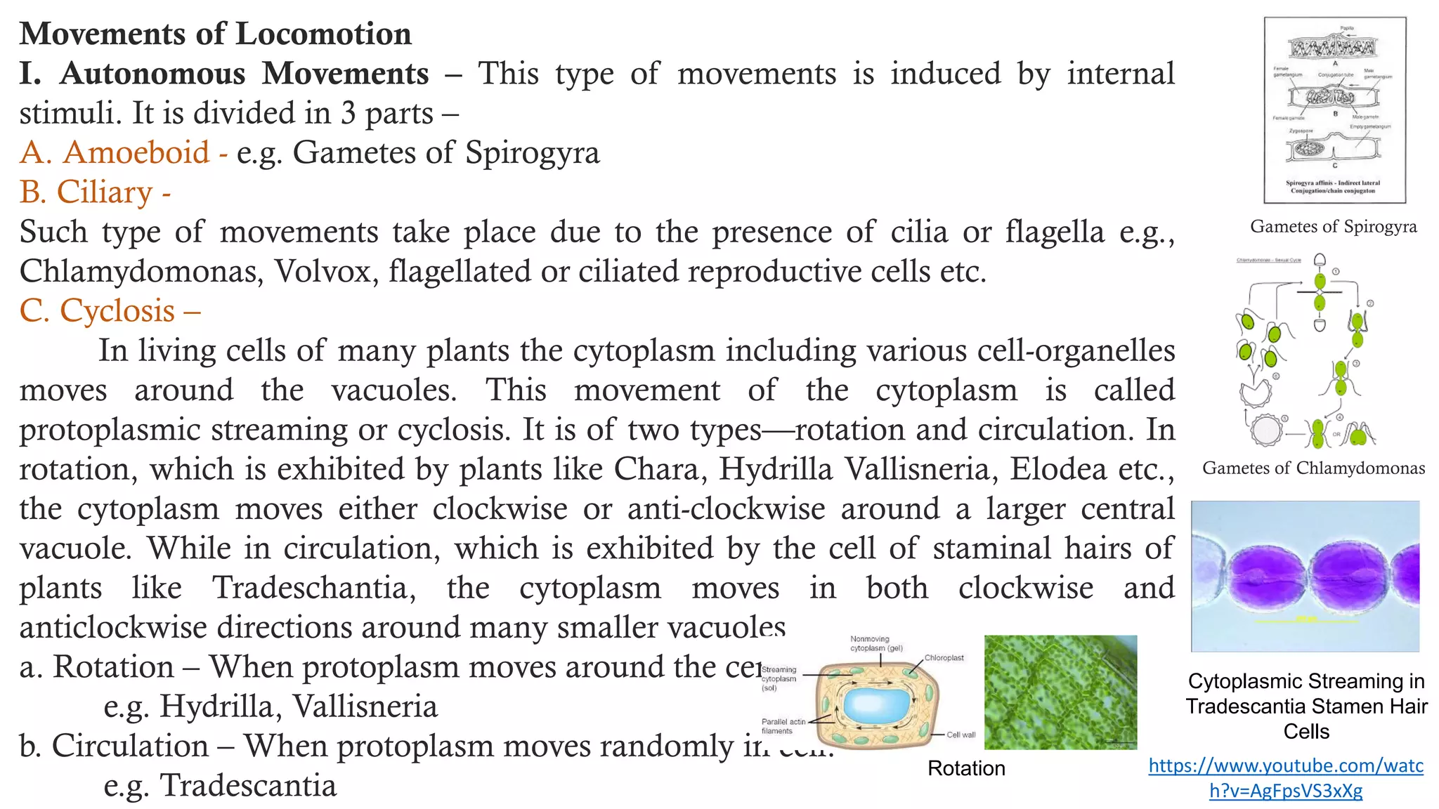 Control and coordination in plants by Dr. T.V. Preethi | PDF