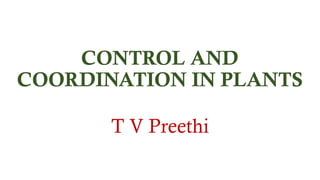 CONTROL AND
COORDINATION IN PLANTS
T V Preethi
 