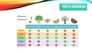 Control and coordination in plants | PDF