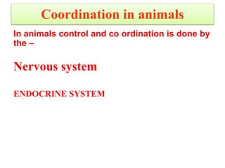 Coordination in animals
In animals control and co ordination is done by
the –
Nervous system
ENDOCRINE SYSTEM
 