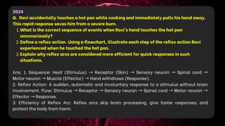 2024
Q. Ravi accidentally touches a hot pan while cooking and immediately pulls his hand away.
This rapid response saves him from a severe burn.
1.What is the correct sequence of events when Ravi’s hand touches the hot pan
unconsciously?
2.Define a reflex action. Using a flowchart, illustrate each step of the reflex action Ravi
experienced when he touched the hot pan.
3.Explain why reflex arcs are considered more efficient for quick responses in such
situations.
Ans. 1. Sequence: Heat (Stimulus) → Receptor (Skin) → Sensory neuron → Spinal cord →
Motor neuron →Muscle (Effector) →Hand withdraws (Response).
2. Reflex Action: A sudden, automatic and involuntary response to a stimulus without brain
involvement. Flow: Stimulus →Receptor →Sensory neuron →Spinal cord →Motor neuron →
Effector →Response.
3. Efficiency of Reflex Arc: Reflex arcs skip brain processing, give faster responses, and
protect the body from harm.
 