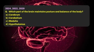 2024, 2022, 2020
Q. Which part of the brain maintains posture and balance of the body?
a) Cerebrum
b) Cerebellum
c) Medulla
d) Hypothalamus
 